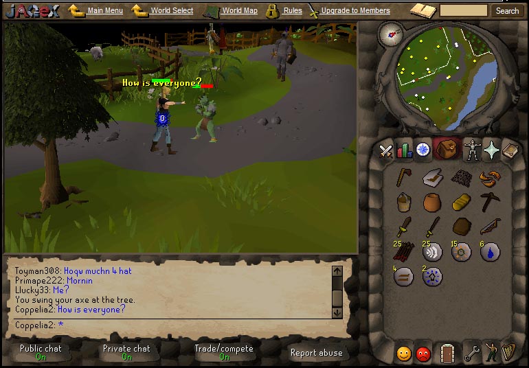 runescape11.jpg